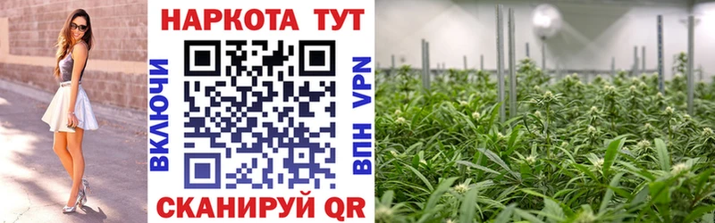 Виды наркоты Белая Холуница Гашиш Конопля COCAIN Псилоцибиновые грибы МЕТАМФЕТАМИН МЕФ