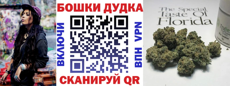 Конопля гибрид  Белая Холуница 
